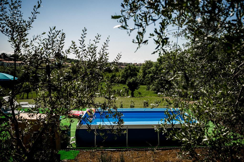 Villa Tancredi Foiano Della Chiana Exteriör bild